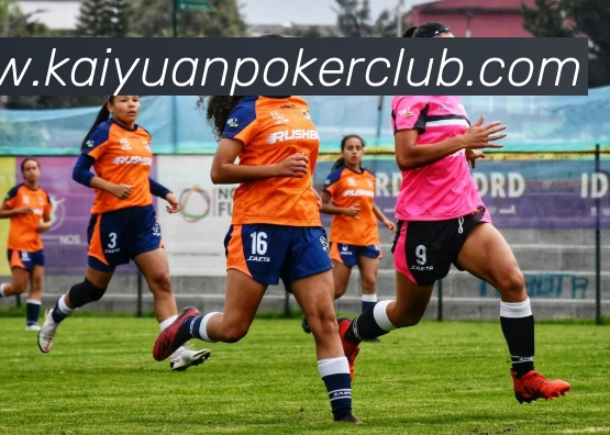 App Interface Preview